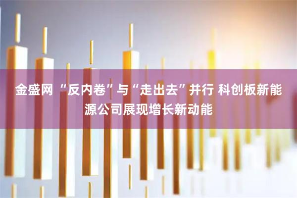 金盛网 “反内卷”与“走出去”并行 科创板新能源公司展现增长新动能
