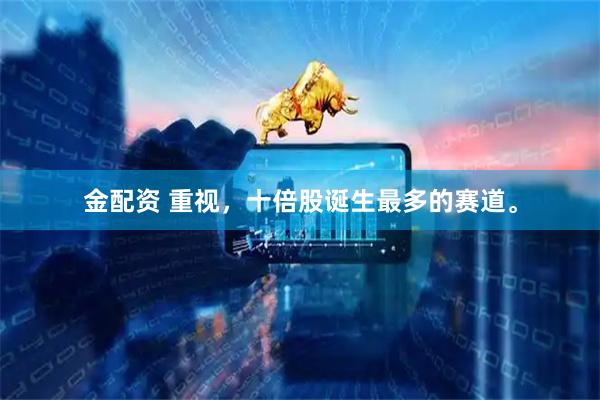金配资 重视，十倍股诞生最多的赛道。