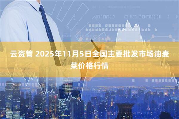 云资管 2025年11月5日全国主要批发市场油麦菜价格行情