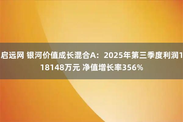 启远网 银河价值成长混合A：2025年第三季度利润118148万元 净值增长率356%